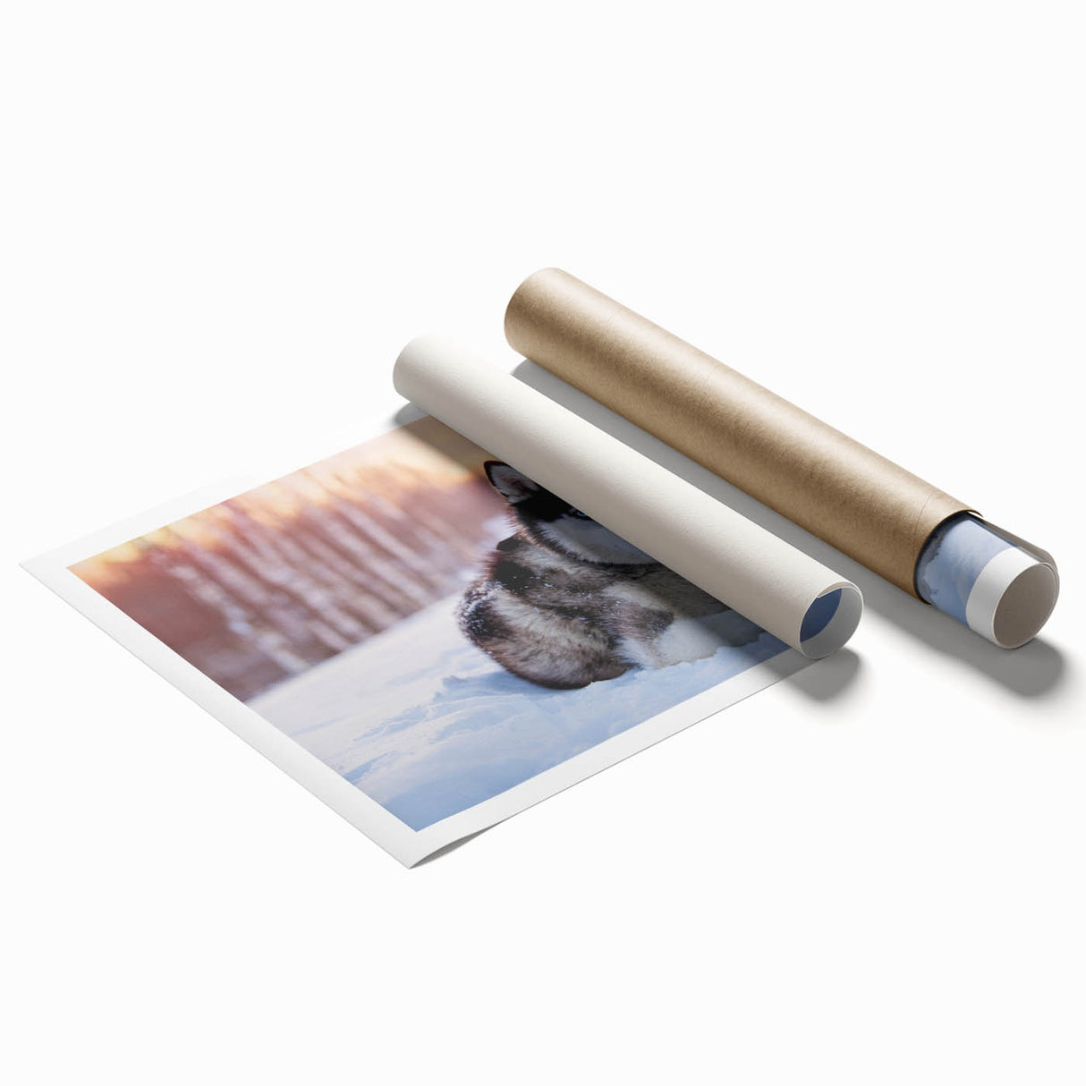 Colorful rolled canvas print showcasing a vibrant design of various dog breeds in a playful, artistic style, ideal for animal lovers and home decor enthusiasts.