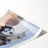 Colorful rolled wall art print featuring a vibrant dog design from the 'Animals A Wild Life' collection, showcasing playful canines against a bright backdrop. Perfect for animal lovers and home decor enthusiasts.