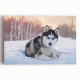 Stretched canvas wall art featuring a vibrant design of playful dogs in a natural setting, ideal for animal lovers and home decor enthusiasts.