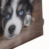 Close-up of a vibrant acrylic wall art piece showcasing a playful dog design, featuring bright colors and intricate details, ideal for animal lovers and home decor.