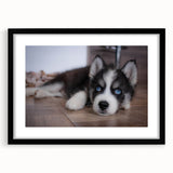 Framed wall art featuring a vibrant dog design from the Animals A Wild Life collection, presented in a sleek black frame with a white mat, ideal for pet lovers' home decor.