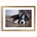 Framed wall art collection featuring a striking design of various dog breeds in vibrant colors, accented with a gold frame and mat, ideal for animal lovers.