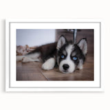 Framed wall art featuring a collection of playful dogs in a vibrant design, set in a sleek white frame with a mat, perfect for enhancing home decor.