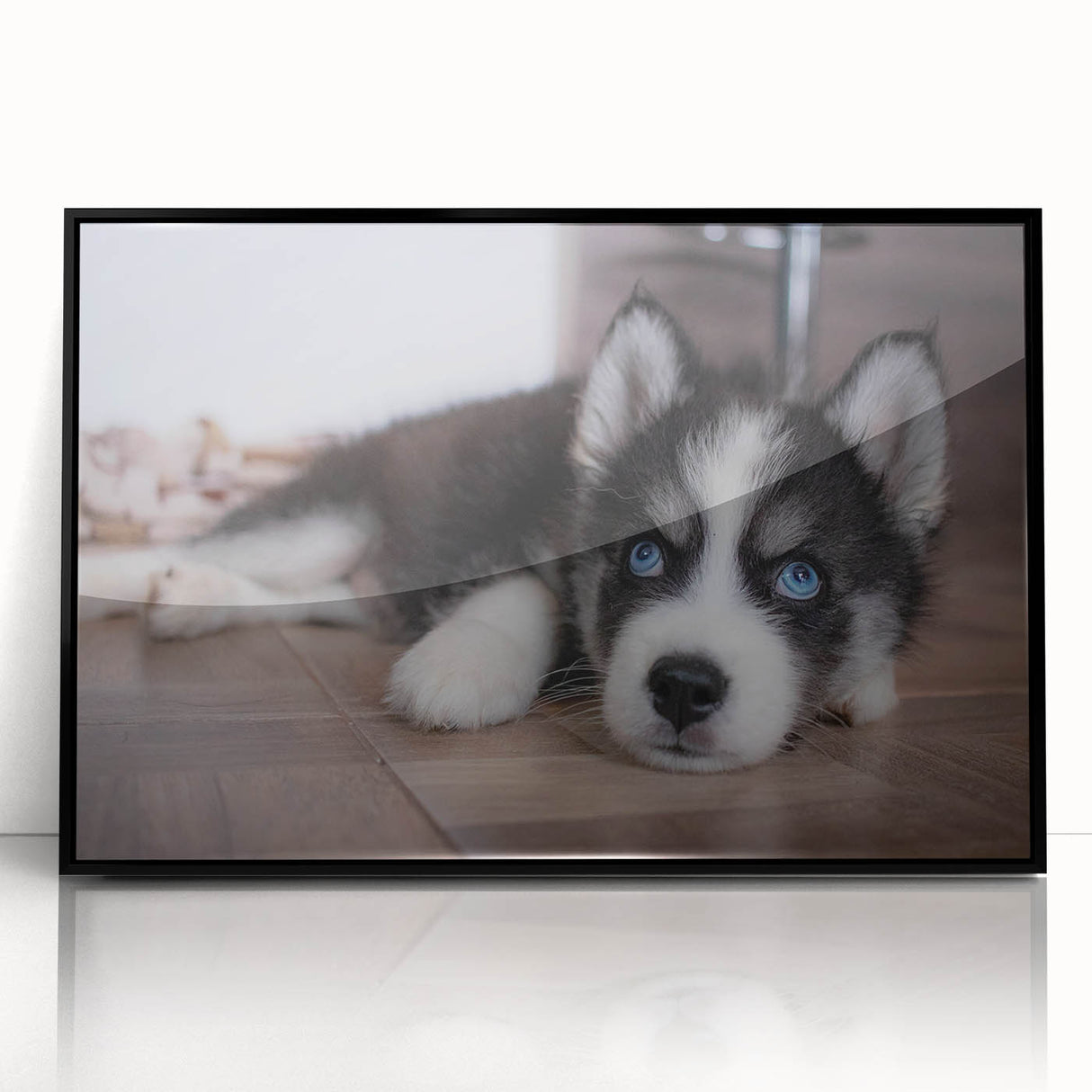Framed wall art featuring a playful dog design, showcasing vibrant colors on a black background, perfect for animal lovers' home decor.