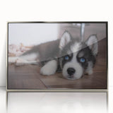 Framed wall art showcasing a vibrant dog design with wild animal motifs, featuring a sleek silver frame and acrylic front, perfect for modern home decor.