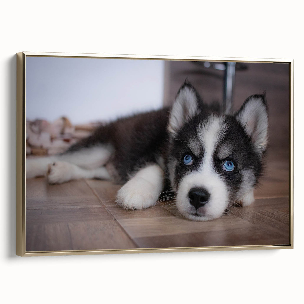 Framed canvas wall art featuring a vibrant design of playful dogs in a wild landscape, showcasing rich colors and textures, ideal for animal lovers' home decor.