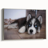 Framed canvas wall art showcasing a vibrant design featuring various dog breeds in a playful arrangement, presented with a sleek silver frame, ideal for pet lovers.