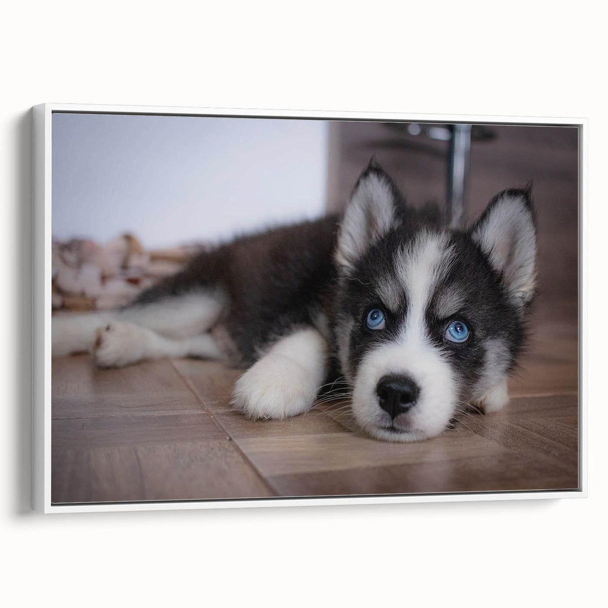 Framed wall art collection showcasing a vibrant dog design with a white background, perfect for animal lovers and home decor enthusiasts, adding a playful touch to any room.