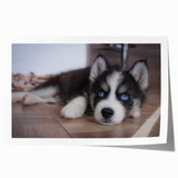 Colorful wall art print featuring a playful design of various dog breeds, including a golden retriever and a bulldog, ideal for animal lovers' home decor.