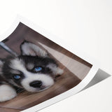 Vibrant rolled wall art print showcasing a lively dog design, featuring various breeds in playful poses, perfect for adding a cheerful touch to home decor.