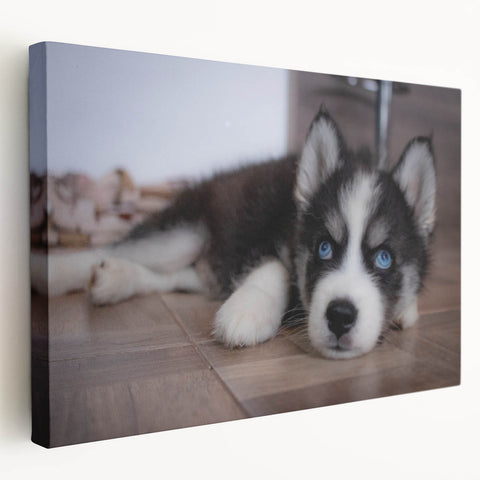 Stretched canvas wall art featuring a colorful design of various dog breeds in a playful arrangement, perfect for pet lovers and home decor enthusiasts.