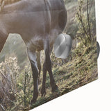 Close-up of a vibrant donkey wall art piece featuring intricate details and colors, set against a sleek acrylic glass background, ideal for animal lovers and modern decor.
