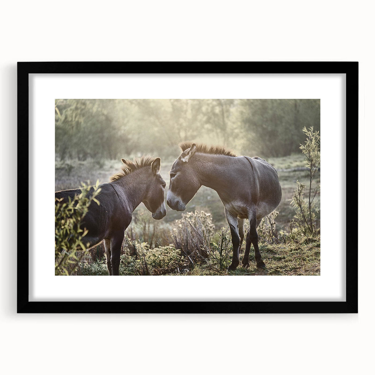 Black framed wall art featuring a whimsical donkey design, showcasing vibrant colors and intricate details, perfect for adding a touch of charm to any room.