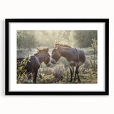 Black framed wall art featuring a whimsical donkey design, showcasing vibrant colors and intricate details, perfect for adding a touch of charm to any room.