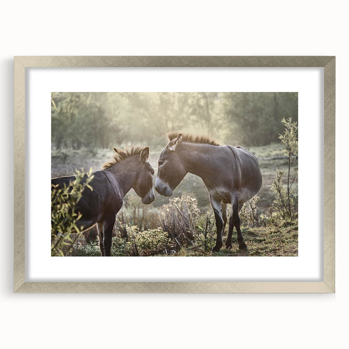 Framed wall art featuring a whimsical donkey design in a silver frame with a mat, ideal for animal lovers and home decor enthusiasts. Perfect for adding a playful touch to any room.
