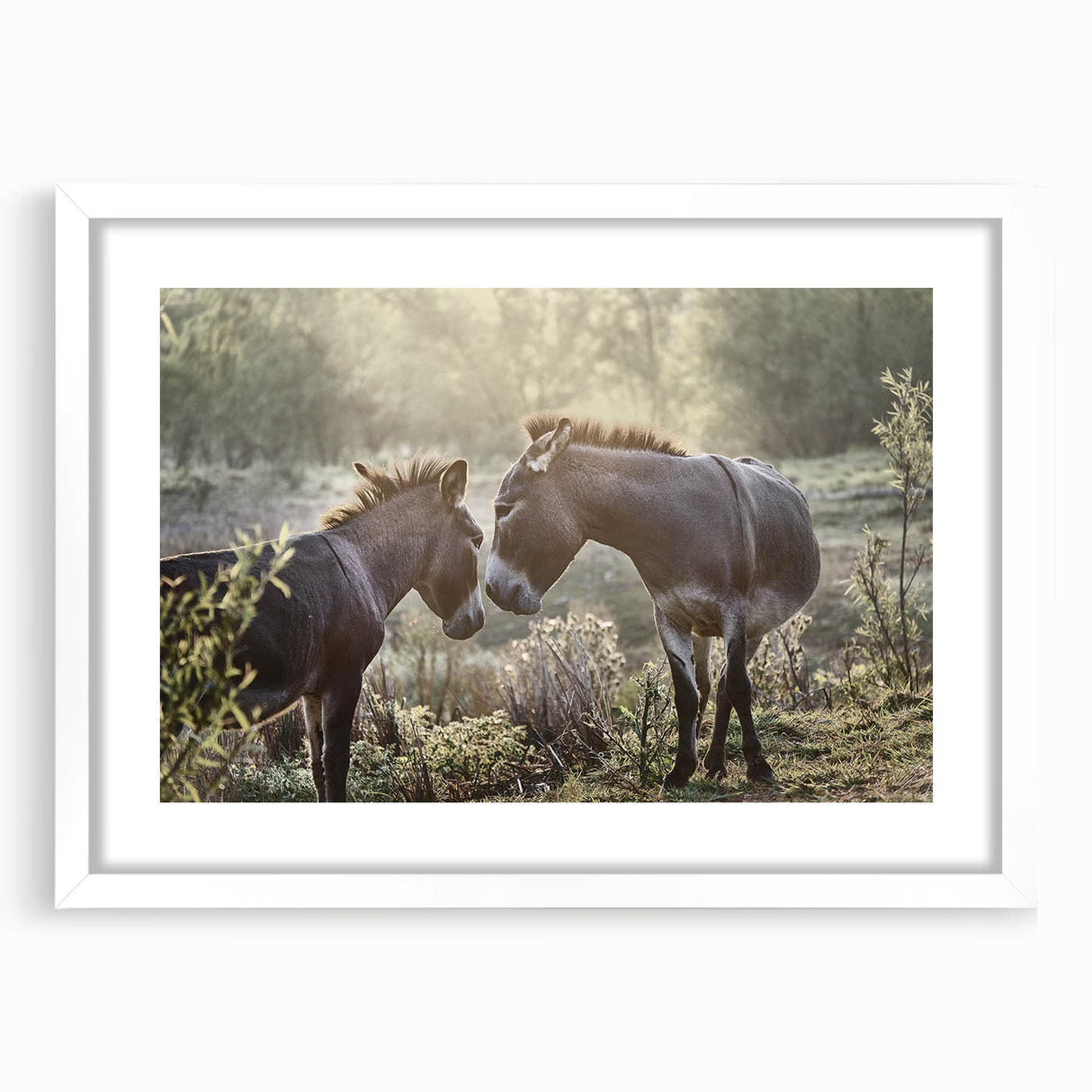 Framed wall art featuring a whimsical donkey design from the "Animals: A Wild Life" collection, set against a white mat, perfect for animal lovers and home decor enthusiasts.