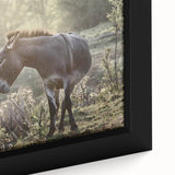 Close-up of a framed canvas wall art featuring a donkey design, showcasing intricate details and vibrant colors, perfect for animal lovers and home decor enthusiasts.