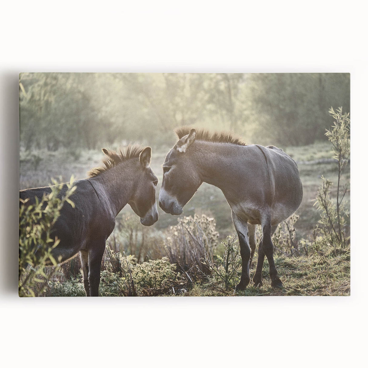 Stretched canvas featuring a detailed front view of a donkey design in a wild animal art collection, showcasing earthy tones and vibrant textures, perfect for home decor.