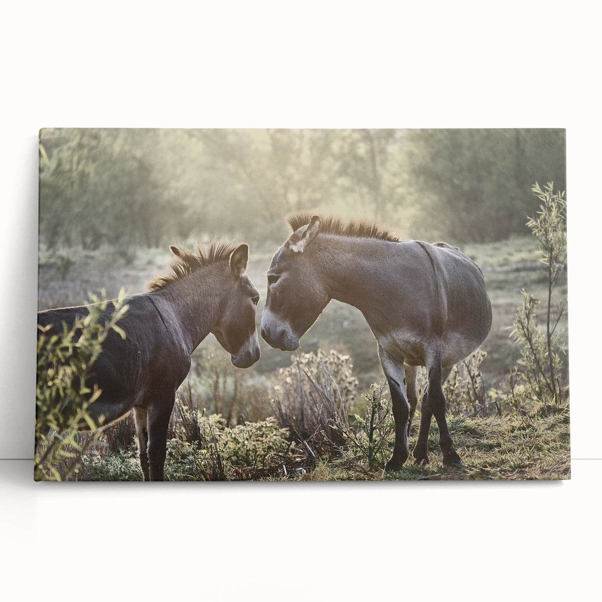 Stretched canvas wall art depicting a whimsical donkey design in vibrant colors, ideal for adding a playful touch to home decor or animal-themed spaces.