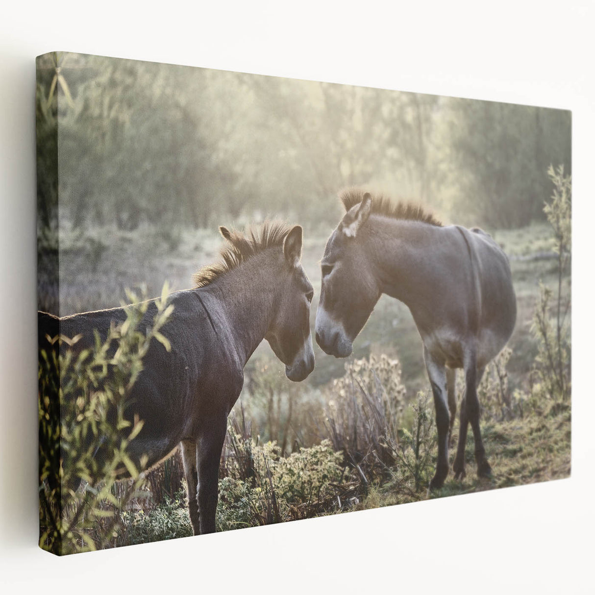 Stretched canvas wall art featuring a side view of a donkey in a vibrant, colorful design, ideal for animal-themed home decor. Perfect for adding a unique touch to any space.