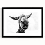 Framed wall art featuring a whimsical donkey design in black and white, set against a sleek black mat, perfect for animal lovers and home decor enthusiasts.
