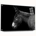 Side view of a donkey wall art piece from the "Animals: A Wild Life" collection, featuring vibrant colors on acrylic glass, complemented by decorative pins.