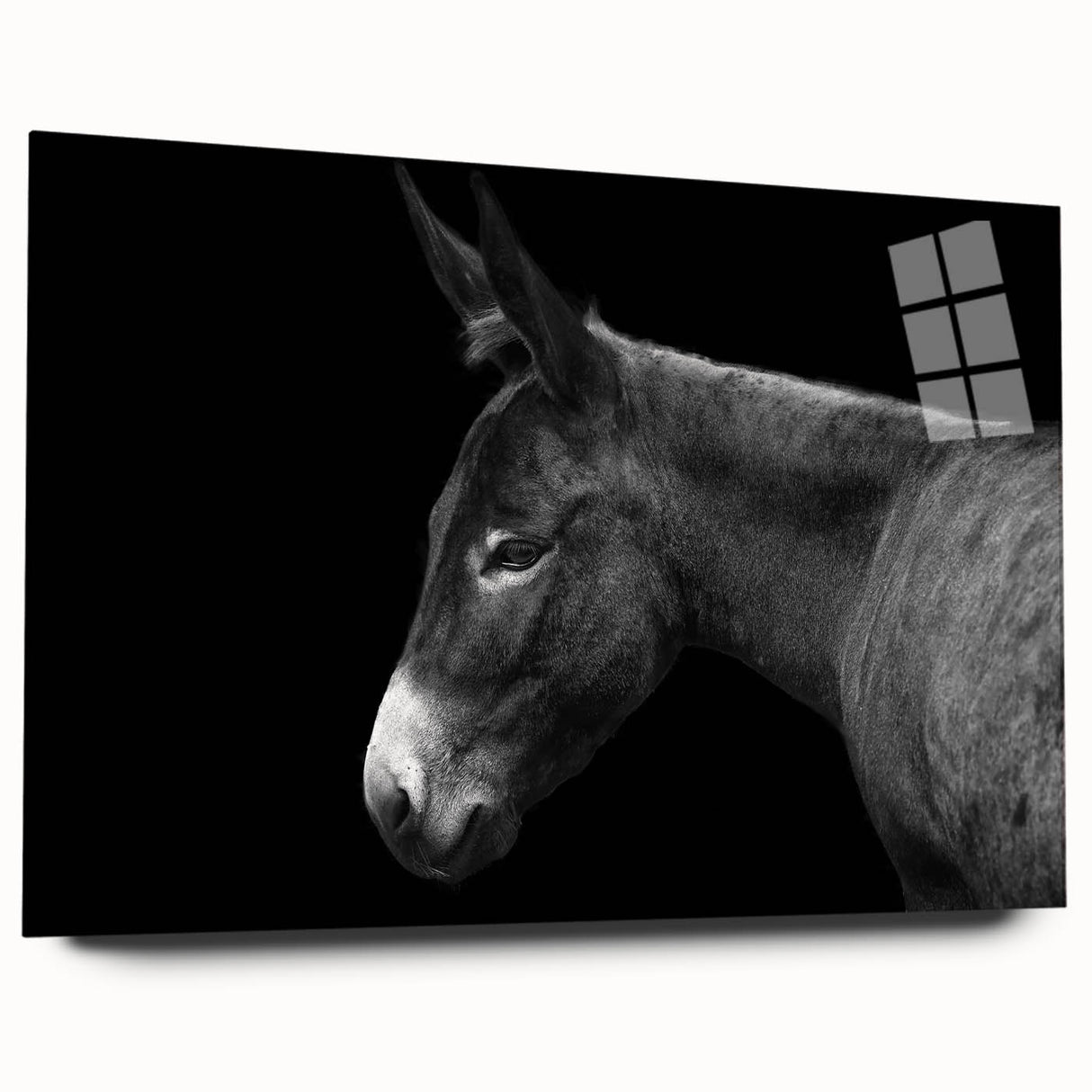 Side view of a vibrant acrylic glass wall art piece depicting a donkey design, showcasing intricate details and colors, perfect for animal-themed decor.