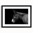 Black-framed wall art featuring a whimsical donkey design from the "Animals - A Wild Life" collection, showcasing playful colors and intricate details, perfect for animal lovers.