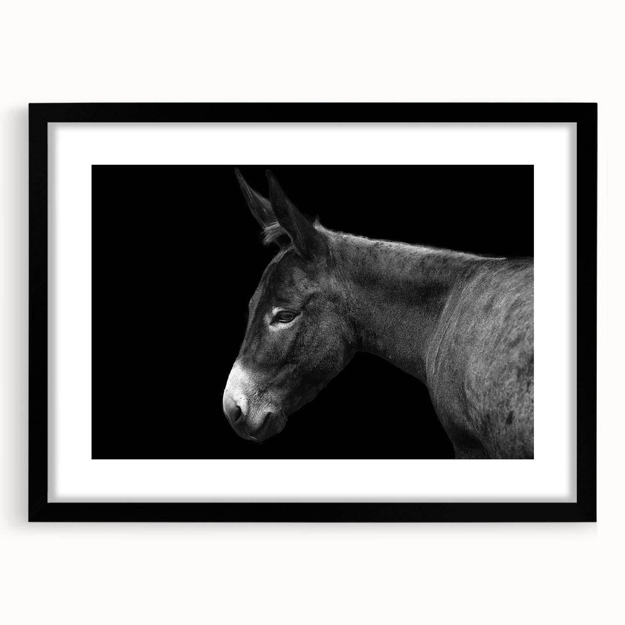 Black-framed wall art featuring a whimsical donkey design from the "Animals - A Wild Life" collection, showcasing playful colors and intricate details, perfect for animal lovers.