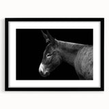 Black-framed wall art featuring a whimsical donkey design from the "Animals - A Wild Life" collection, showcasing playful colors and intricate details, perfect for animal lovers.