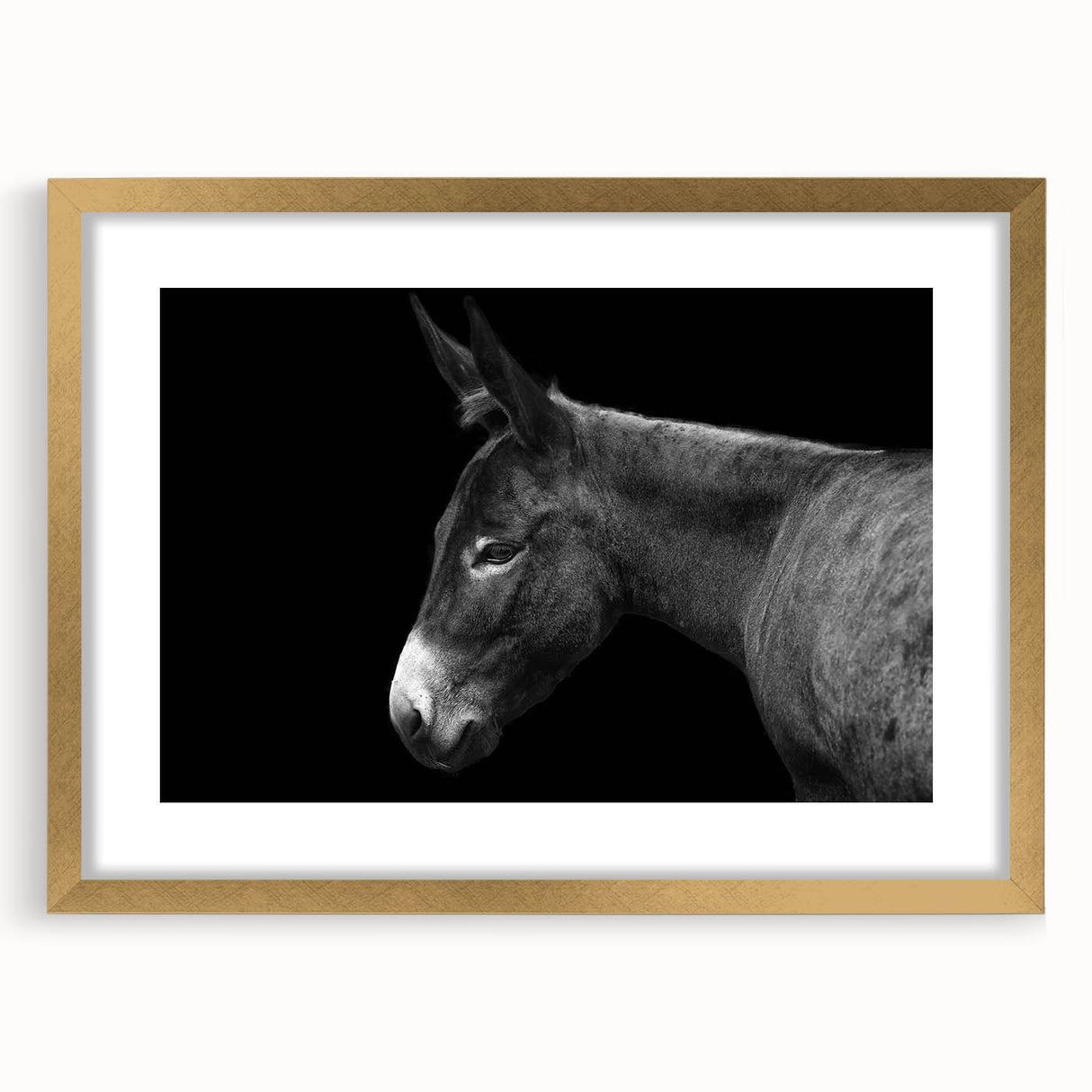 Framed wall art featuring a charming donkey design, set in a gold frame with a mat. The artwork showcases vibrant colors, ideal for enhancing home decor.