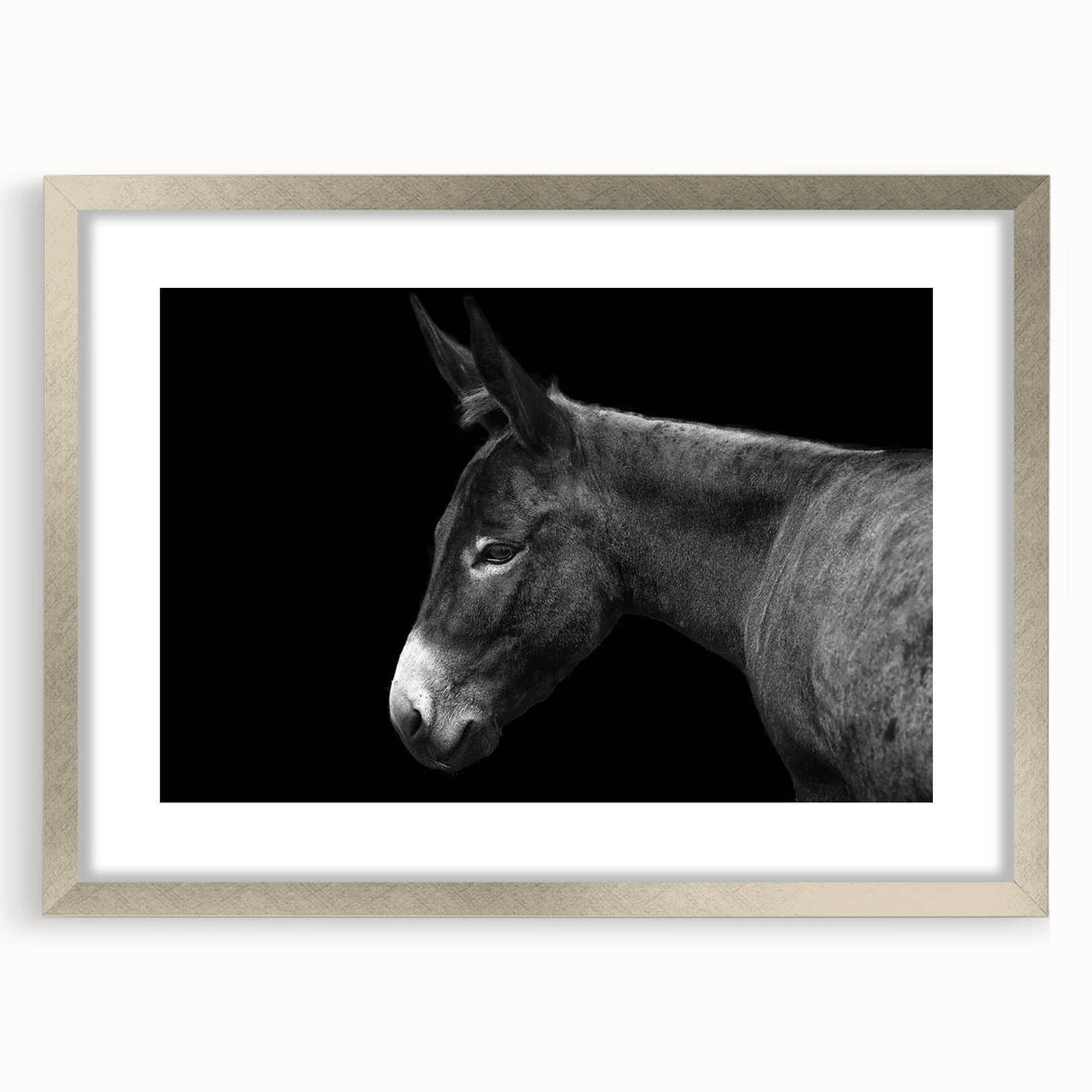 Framed wall art showcasing a silver mat and a charming donkey design, perfect for animal lovers and home decor enthusiasts, adding a whimsical touch to any room.