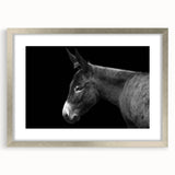 Framed wall art showcasing a silver mat and a charming donkey design, perfect for animal lovers and home decor enthusiasts, adding a whimsical touch to any room.