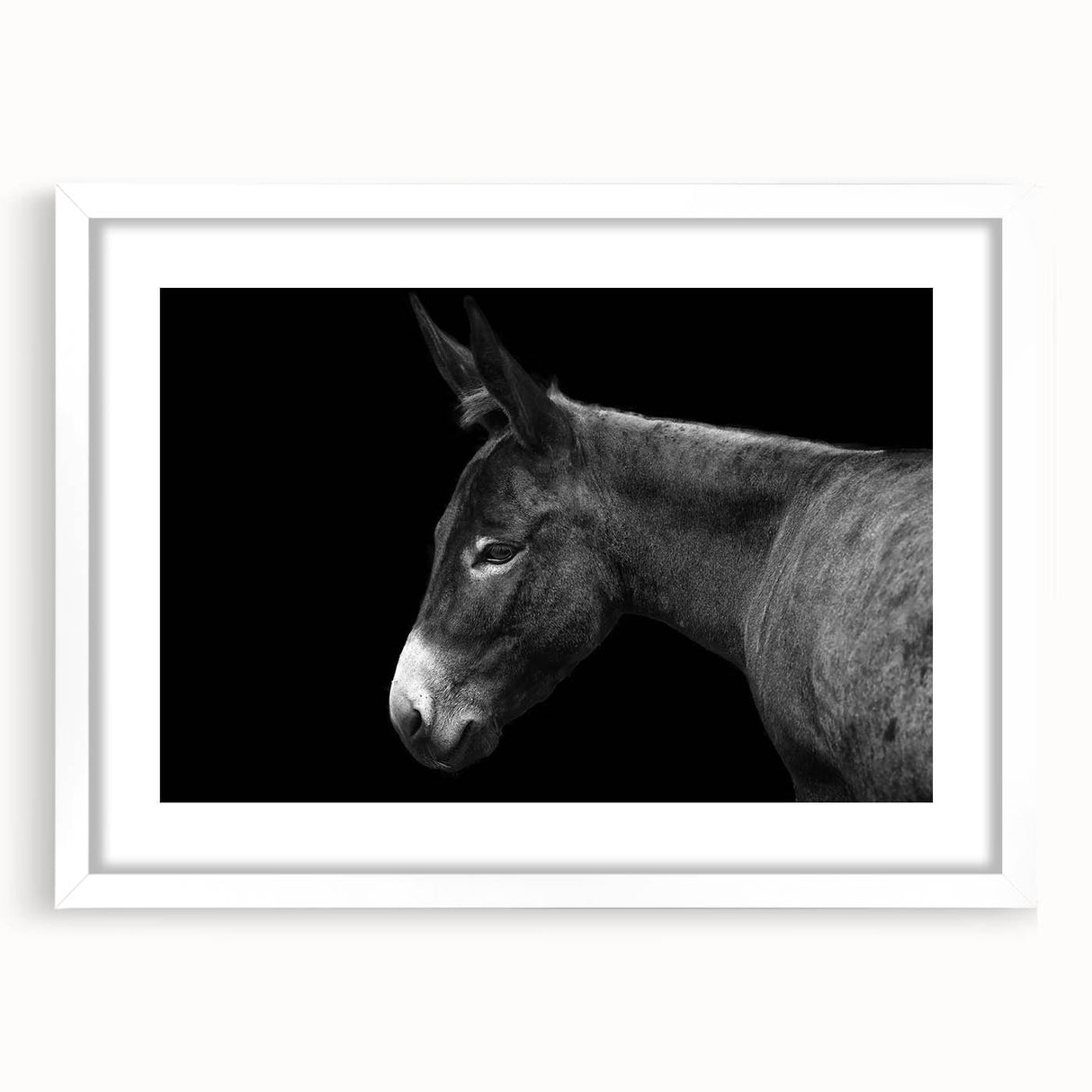 White-framed wall art collection featuring a whimsical donkey design, showcasing vibrant colors and intricate details, perfect for animal lovers and home decor.