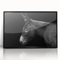 Framed wall art featuring a black donkey design from the "Animals A Wild Life" collection, showcasing a sleek acrylic finish and modern aesthetic, perfect for animal lovers.