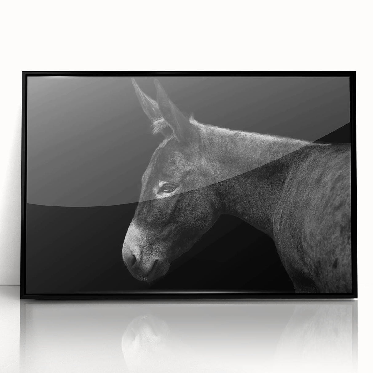 Framed wall art featuring a black donkey design from the "Animals A Wild Life" collection, showcasing a sleek acrylic finish and modern aesthetic, perfect for animal lovers.