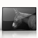 Framed wall art featuring a black donkey design from the "Animals A Wild Life" collection, showcasing a sleek acrylic finish and modern aesthetic, perfect for animal lovers.