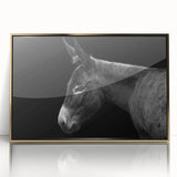 Framed wall art showcasing a detailed gold-accented donkey design in a wild-life theme, ideal for enhancing modern decor with a touch of nature.