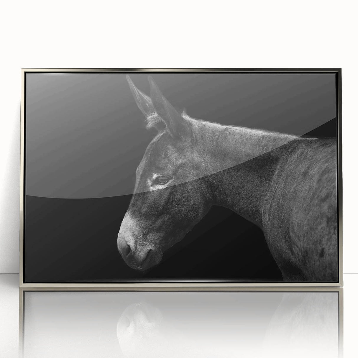 Framed wall art featuring a striking donkey design in a silver-acrylic frame, showcasing vivid colors and intricate details, perfect for animal lovers' decor.