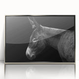 Framed wall art featuring a striking donkey design in a silver-acrylic frame, showcasing vivid colors and intricate details, perfect for animal lovers' decor.