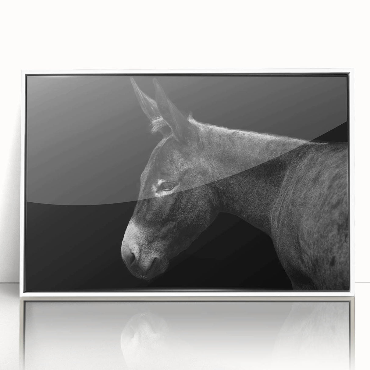 Framed wall art featuring a stylized donkey design in a white acrylic frame, showcasing a modern, minimalist aesthetic ideal for animal lovers and home decor enthusiasts.