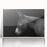 Framed wall art featuring a stylized donkey design in a white acrylic frame, showcasing a modern, minimalist aesthetic ideal for animal lovers and home decor enthusiasts.