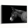 Framed wall art showcasing a side view of a donkey design in a black and white color scheme, ideal for animal lovers and modern decor enthusiasts. Perfect for home or office settings.