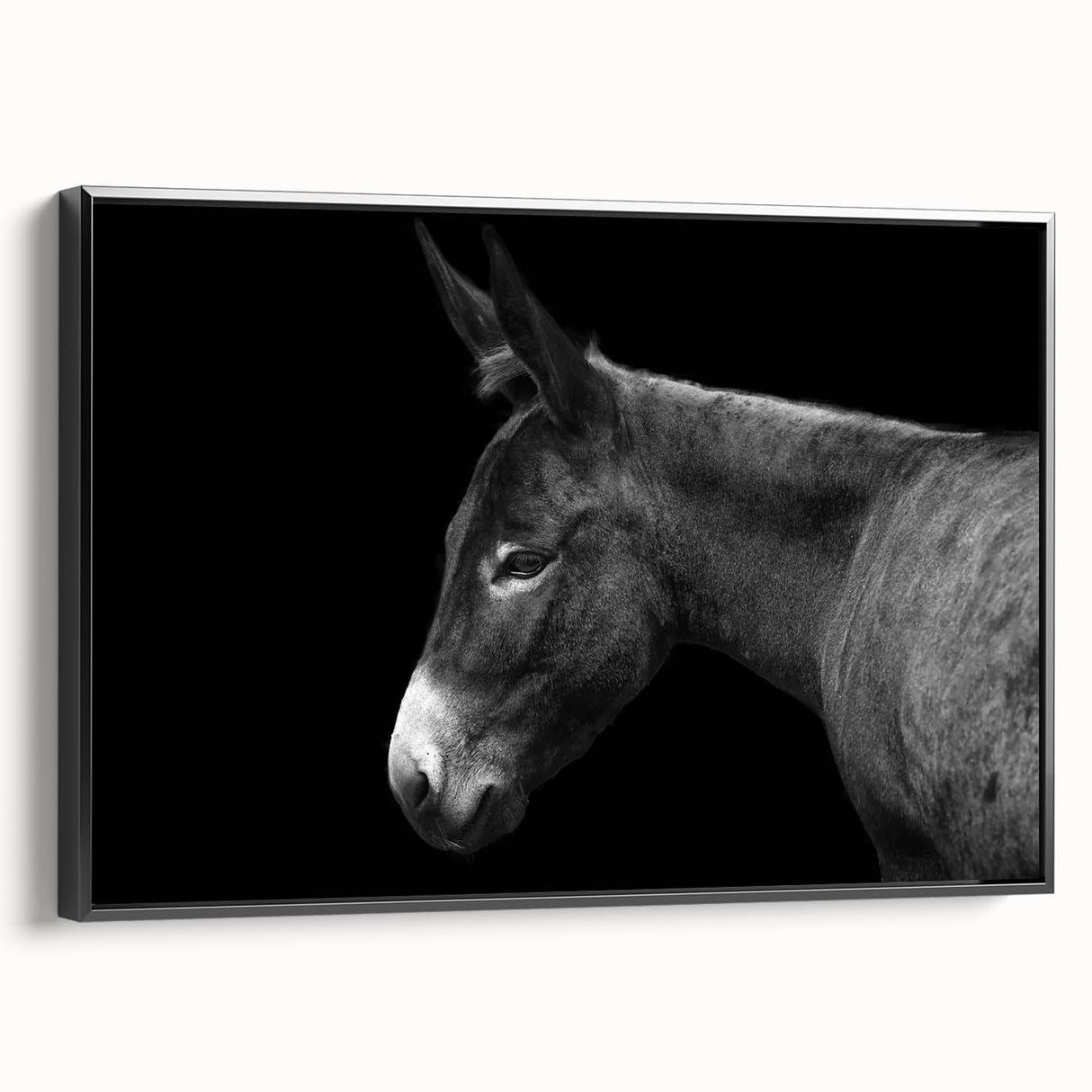 Framed wall art showcasing a side view of a donkey design in a black and white color scheme, ideal for animal lovers and modern decor enthusiasts. Perfect for home or office settings.