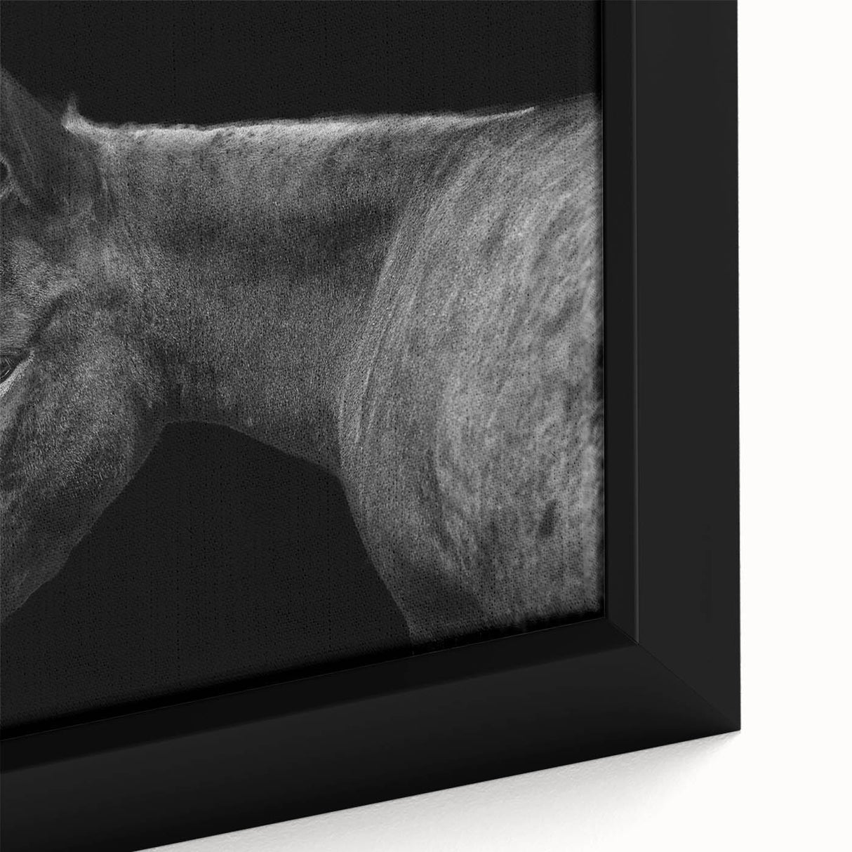 Close-up of a framed canvas showcasing a vibrant donkey design from the "Animals: A Wild Life" wall art collection, emphasizing intricate details and rich colors. Perfect for animal lovers seeking unique home decor.