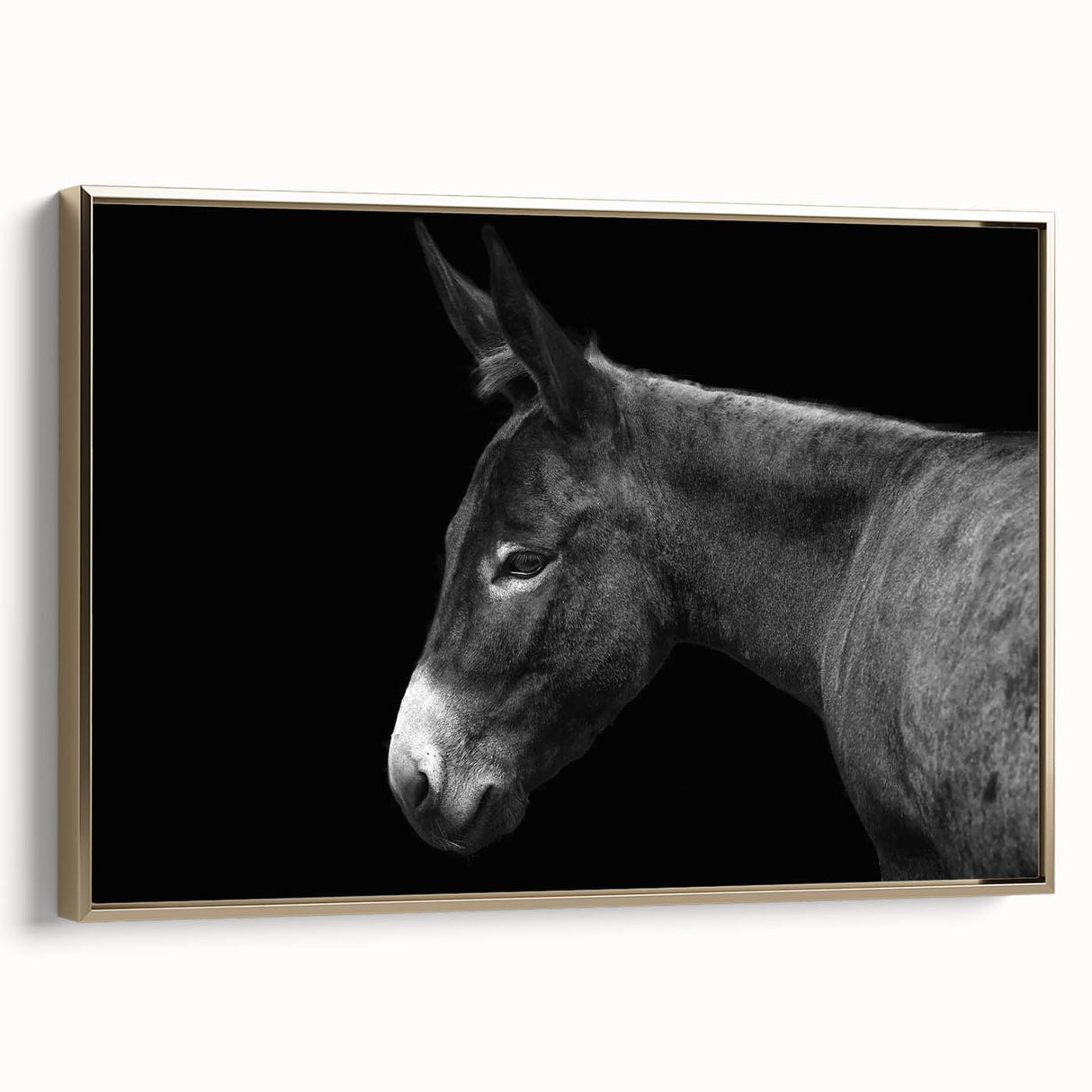 Framed canvas wall art featuring a side view of a donkey design, showcasing intricate details and a gold frame, perfect for animal-themed decor and home aesthetics.