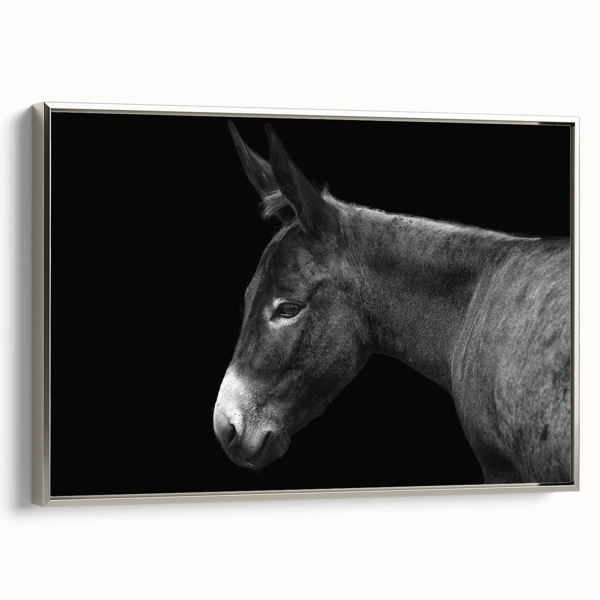 Framed canvas wall art showcasing a silver donkey design, side view, perfect for animal lovers and modern home decor; adds a touch of wildlife elegance.