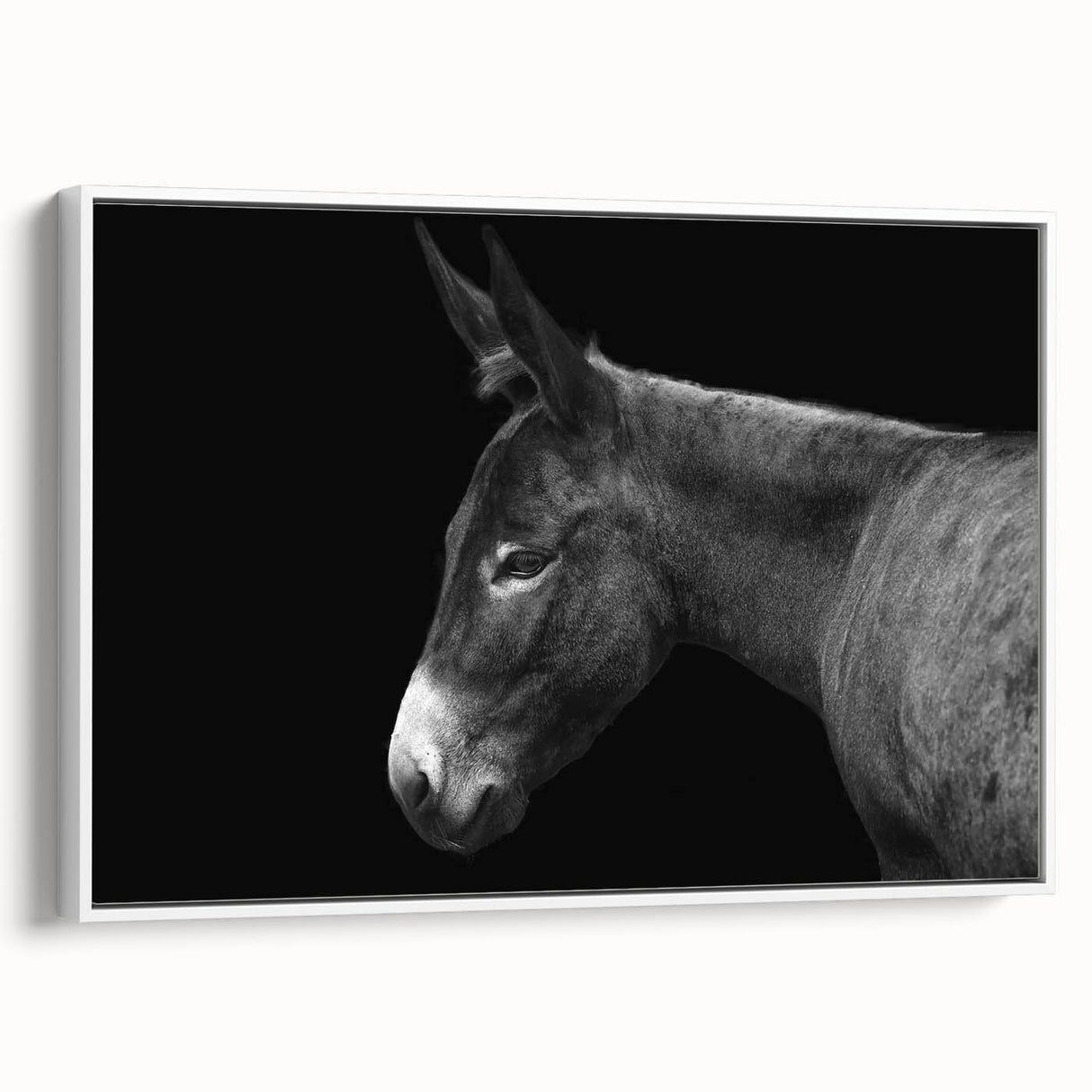 Framed canvas wall art featuring a side view of a whimsical donkey design, set against a white background, perfect for adding a playful touch to home decor.