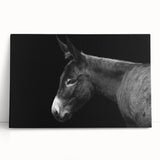 Stretched canvas wall art featuring a vibrant donkey design, showcasing intricate details and earthy colors, perfect for adding a whimsical touch to home decor.