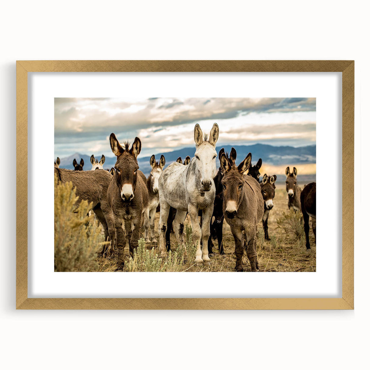 Framed wall art featuring a donkey design from the "Animals of the Wild" collection, showcasing a gold mat and elegant frame, perfect for home decor.